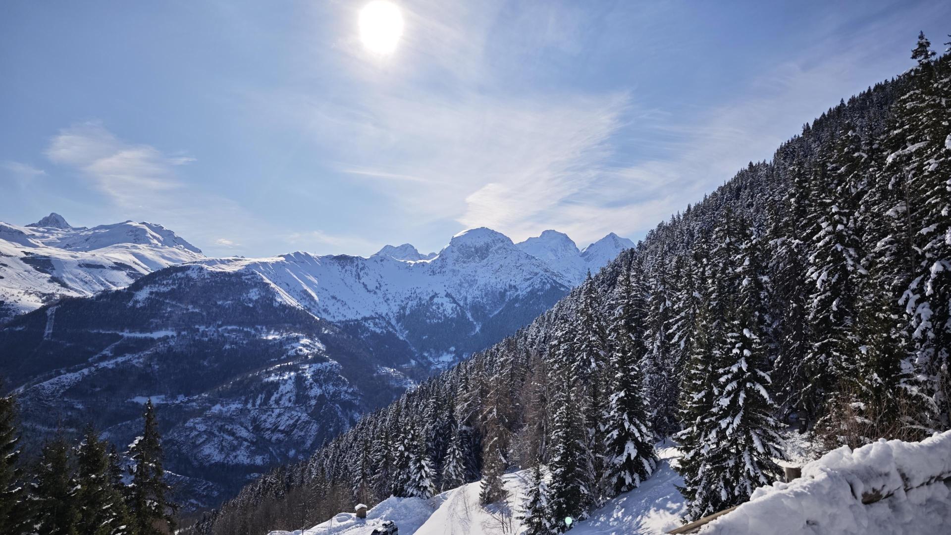 Forêt de Piégut - en raquettes depuis Auris-en-Oisans