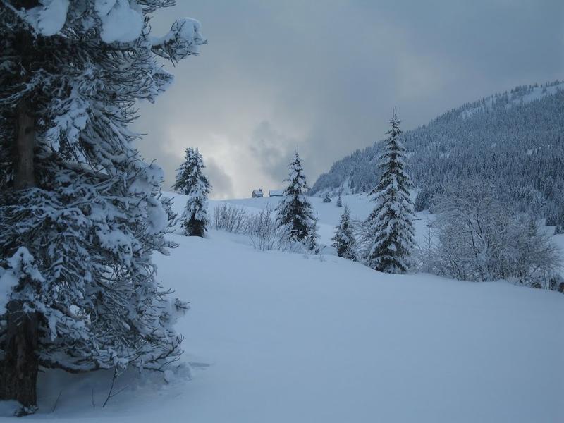 La Vallée des Bauches