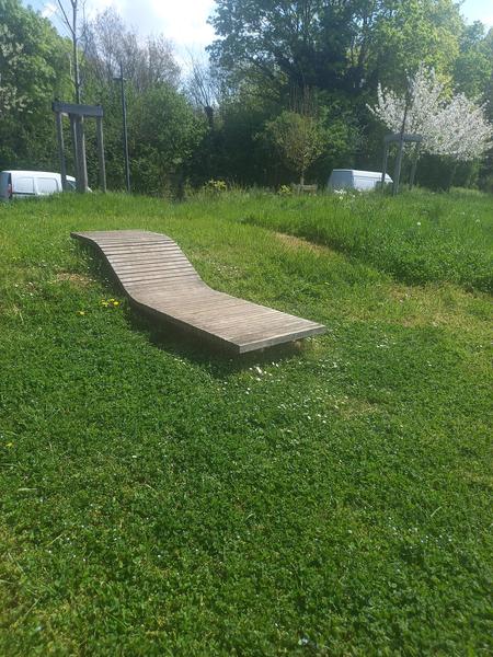 Pêcher la Saône à Rochetaillé