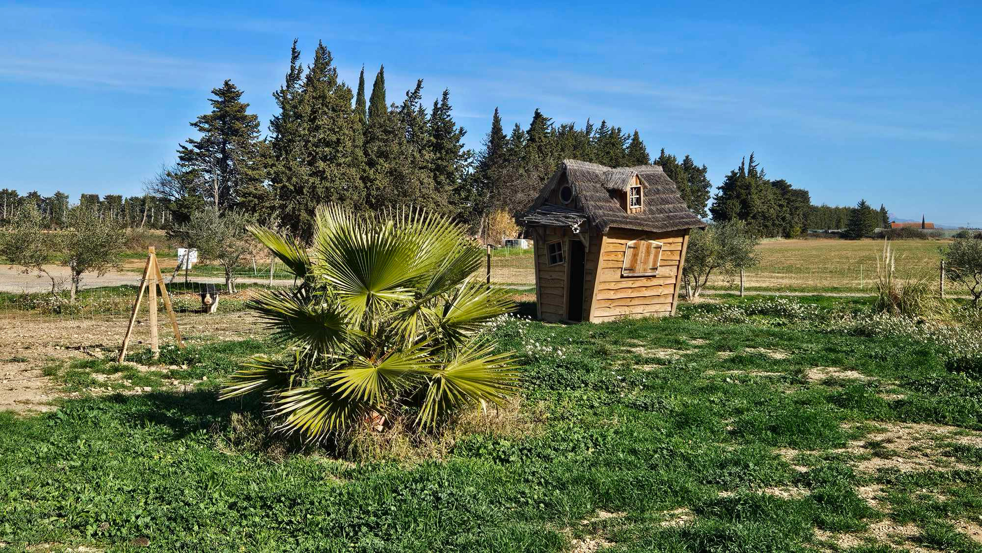 35e088616b22d5da20e9