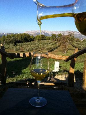 Domaine de La Pommé — photo 3