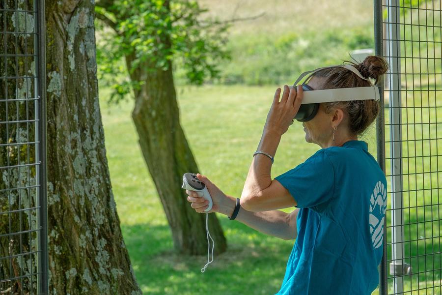Marché des créateurs : voyage en réalité virtuelle
