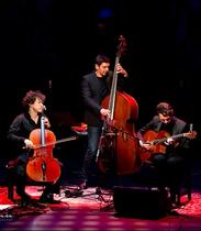 Loco Cello