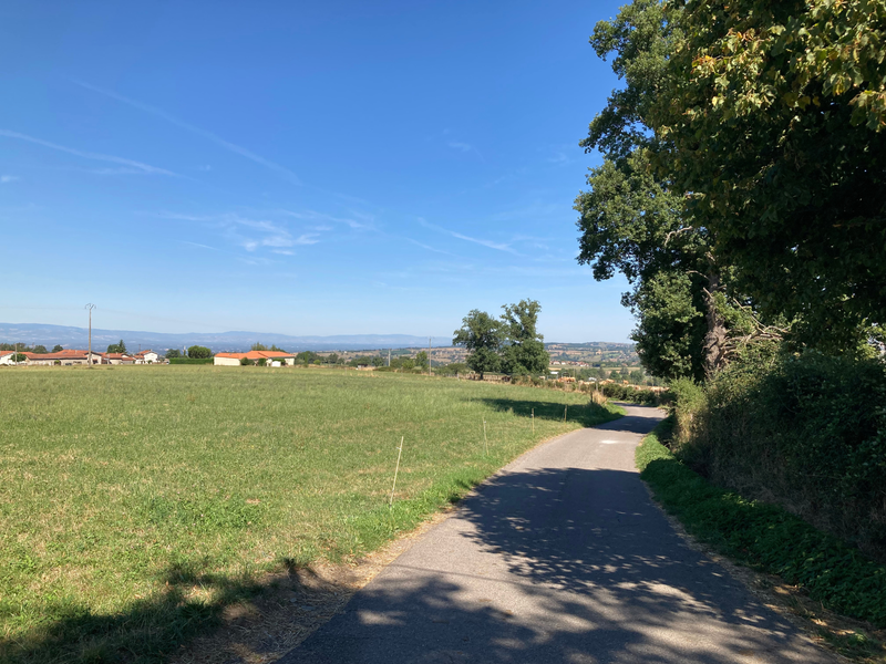 Sentier des pas vaillants_Saint-Médard-en-Forez