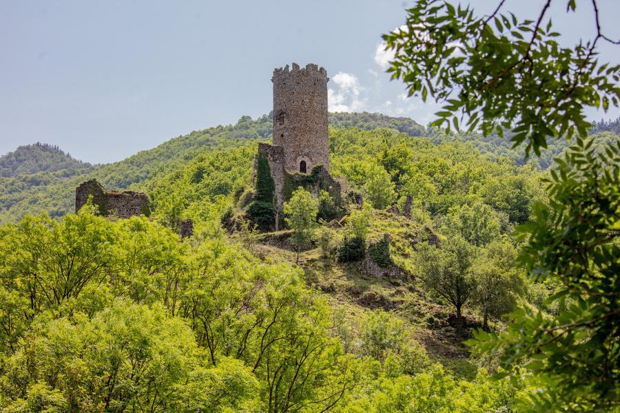 Tour de Chadenac en été (terrain privé)