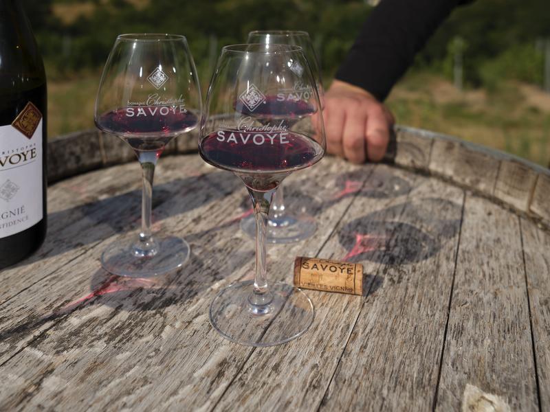 Dégustation vins chiroubles savoye