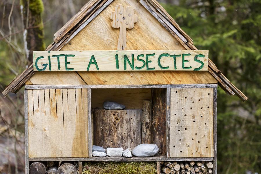 Ecomusée du Bois et de la Forêt de Montremont