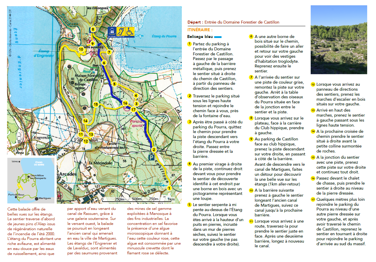 Forêt de Castillon - Etangs du Pourra et d'Engrenier - photo 2