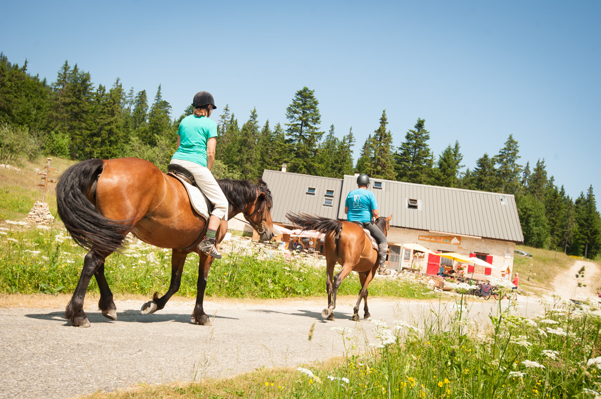 Balade à cheval à Gève