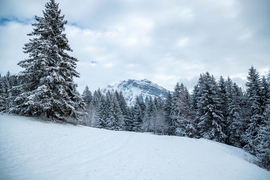 Itinéraire raquettes : Les Allamands_Samoëns