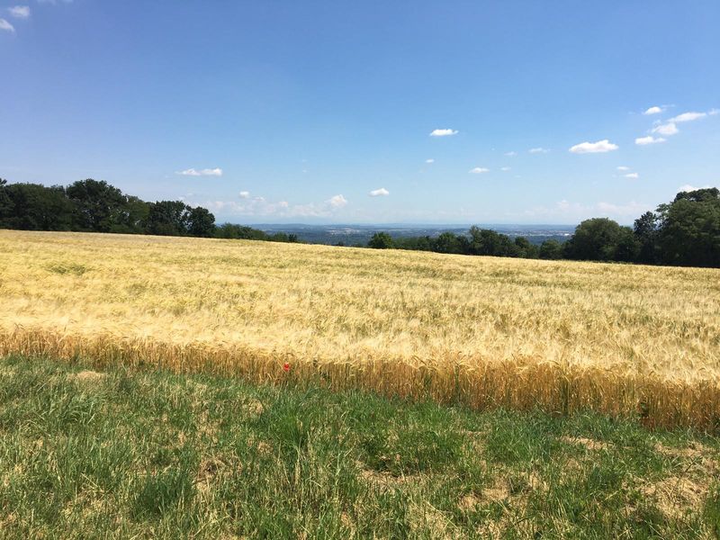 Sentier de l'arboretum Beynost