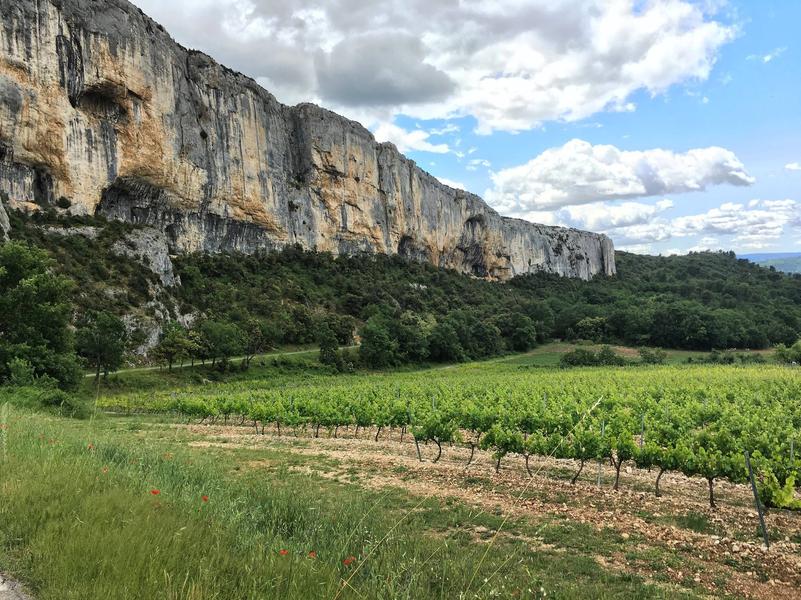 Falaise de la madeleine