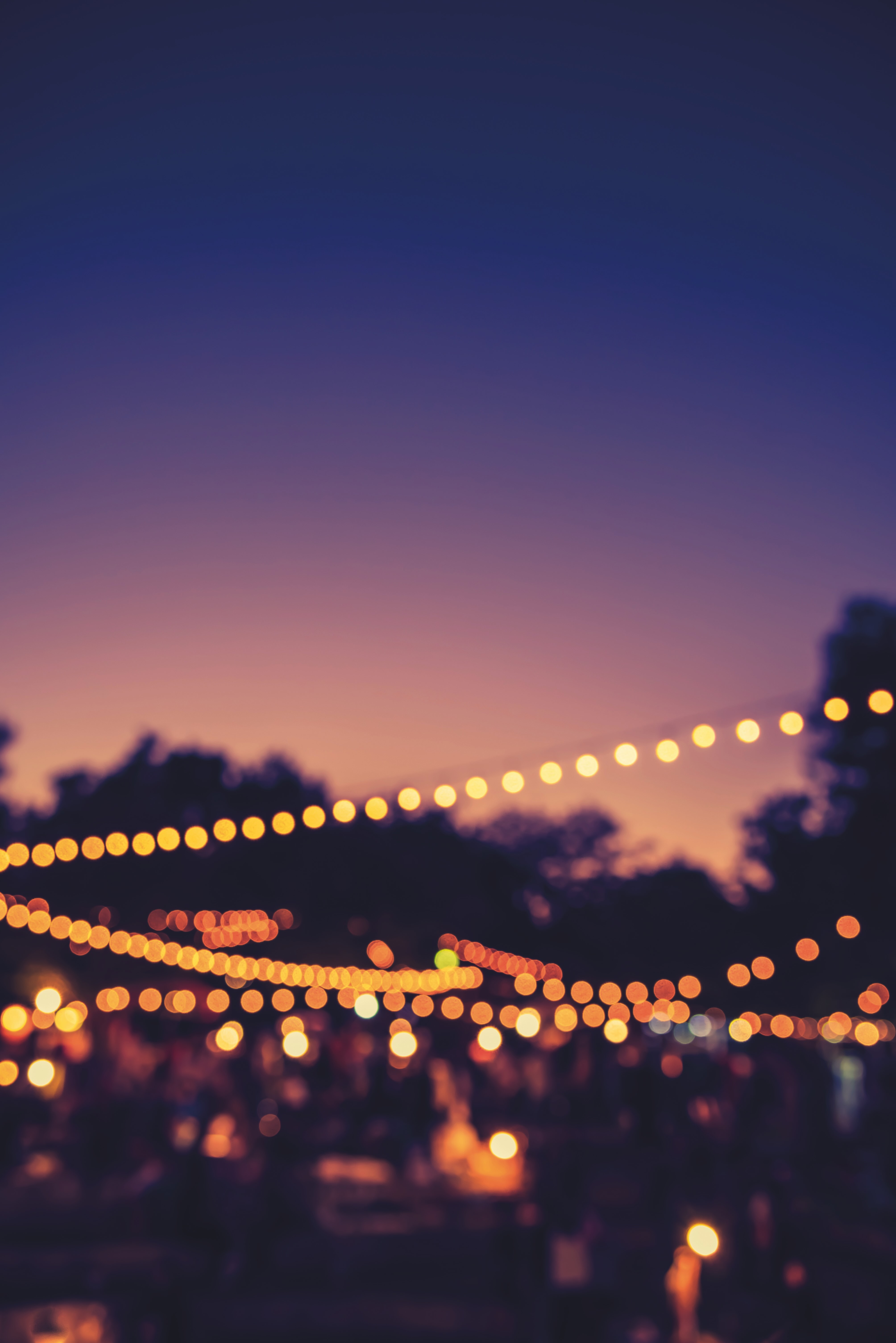 Festival de la Camargue – Soirée officielle d’ouverture en musique