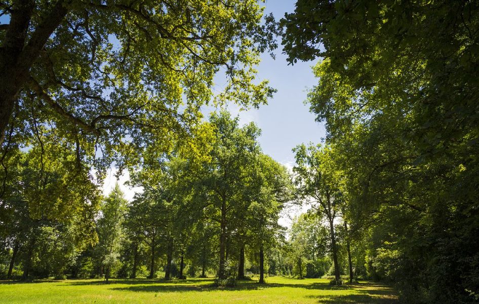 ENS de la Save secteur de la Laurentière