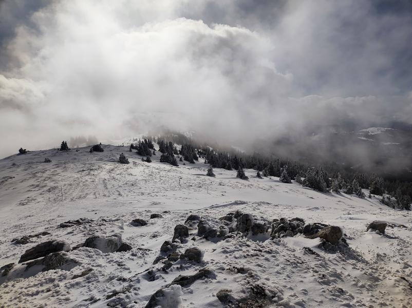 Sentier raquettes : de la Catheline au Crêt de la Neige_Lélex