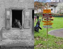 La p’tite ferme éphémère de la Maison Bergès_Villard-Bonnot