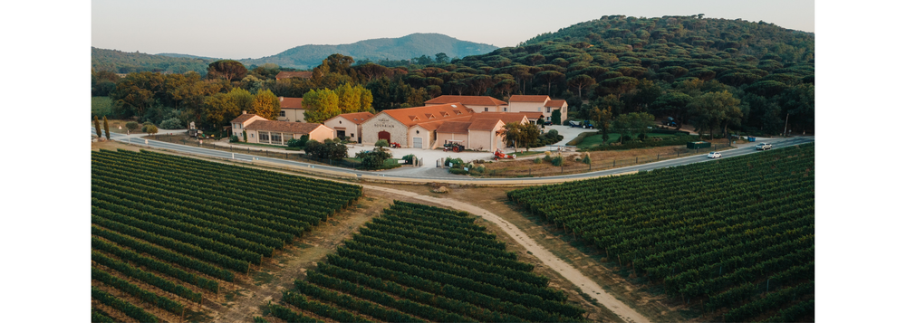 Domaine viticole du Bourrian_Gassin