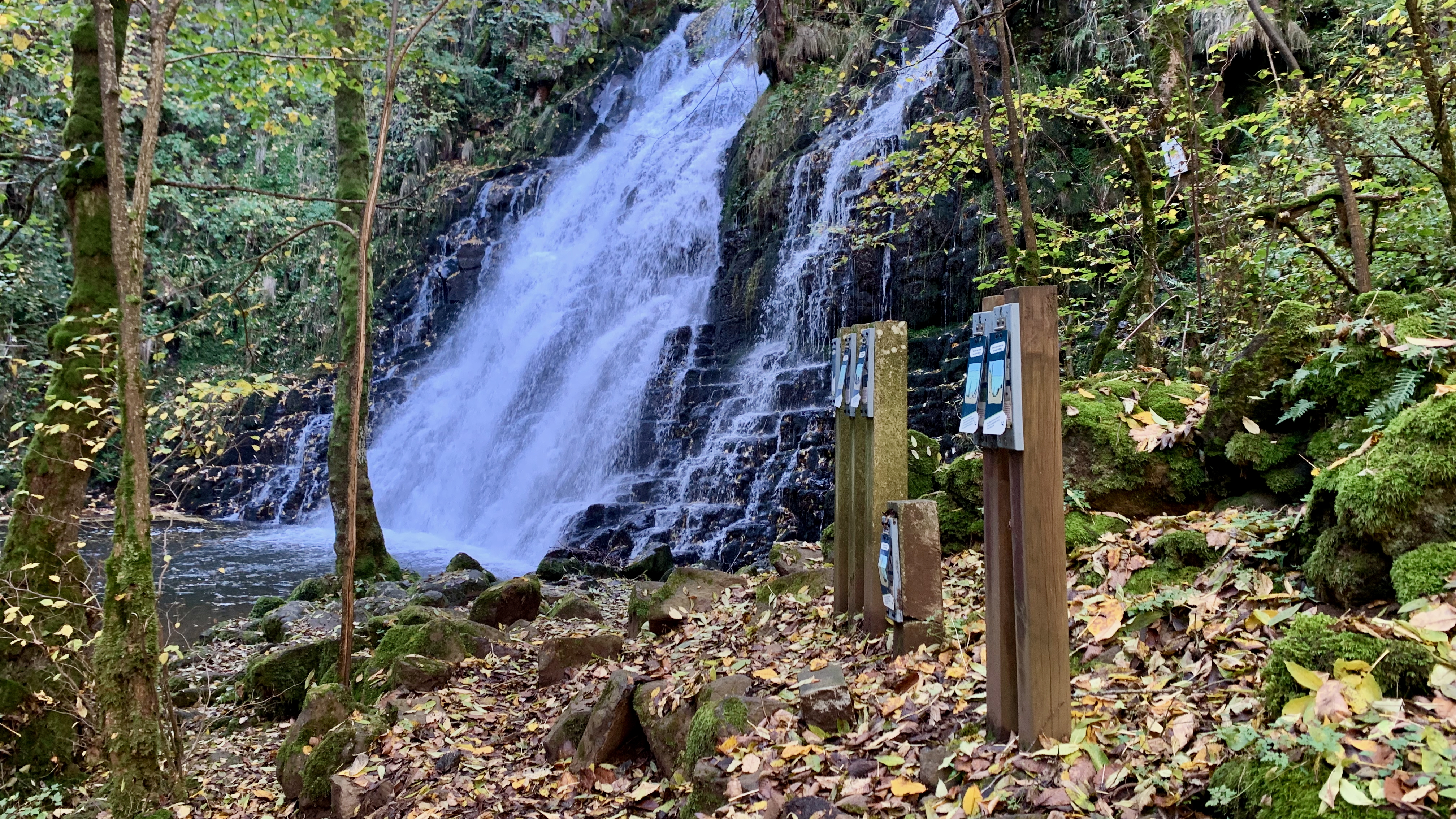 Cascade de la Roche