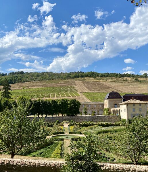 Vignes du Château de La Chaize