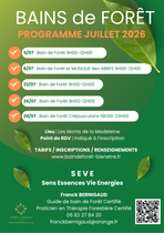 Bain de forêt_Renaison