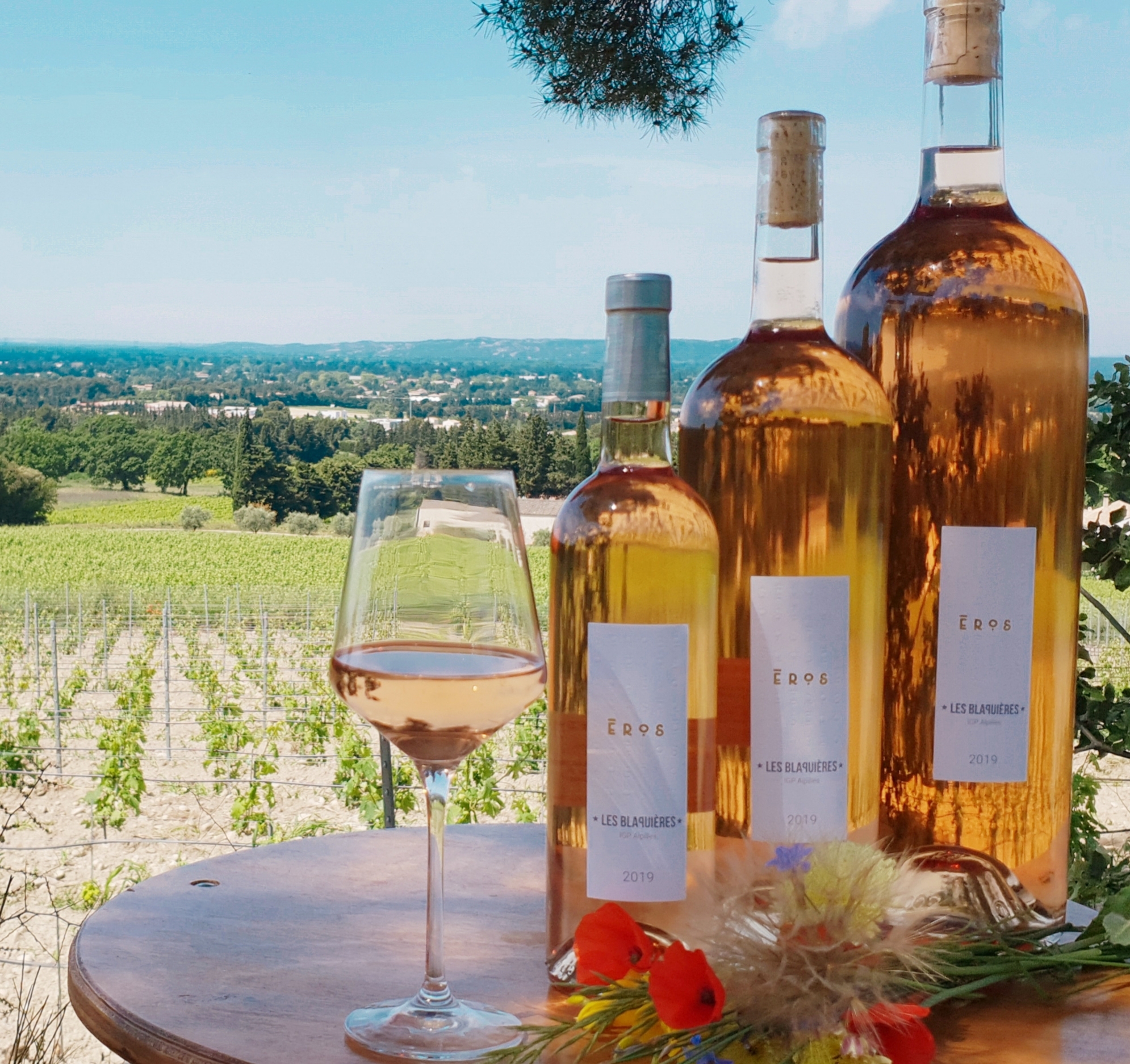 Domaine des Blaquières — photo 3