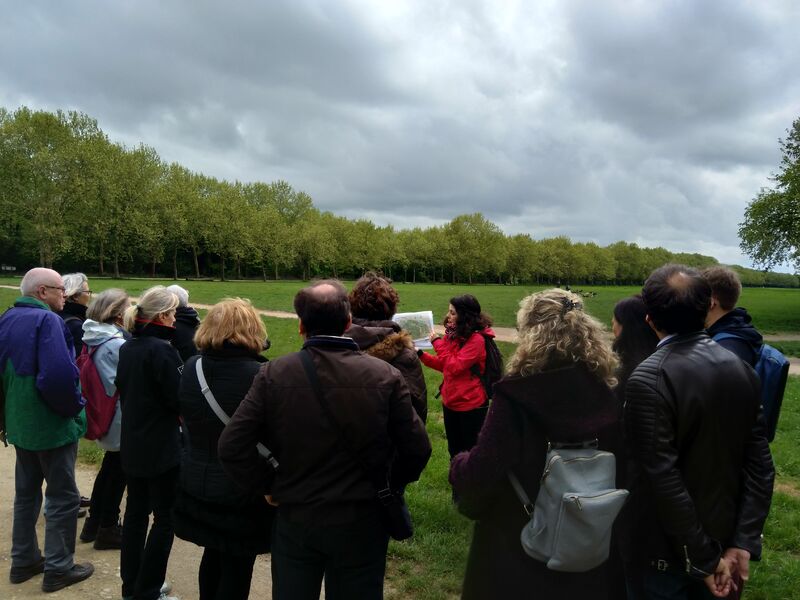 Groupe dans le Bois 