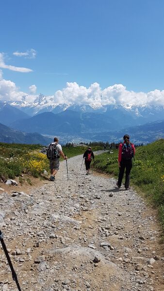 sentier pédestre : sentier forestier de Mayères