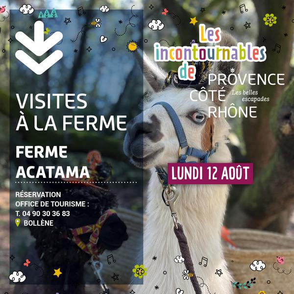 Visite à la ferme d’Acatama – lamas alpagas - Bollène