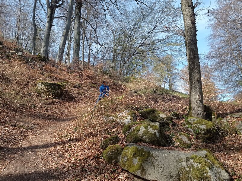 sentier pédestre : circuit des coteaux