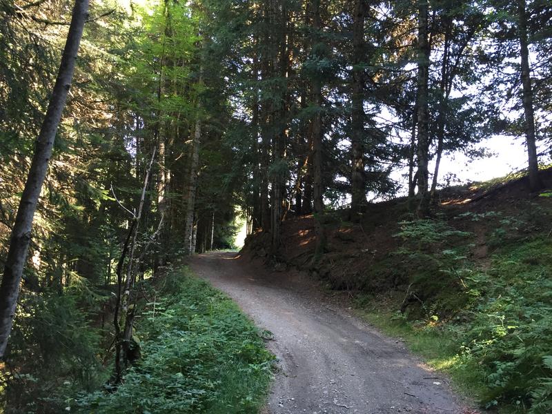 Les chalets de l'Avenaz - sentier pédestre_Cordon