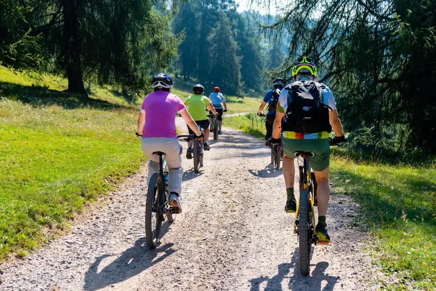 http://Forest'Ride