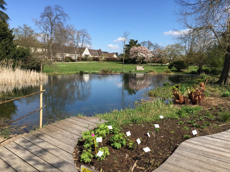 L'arboretum de Paris 