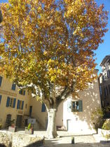 Village de Villecroze