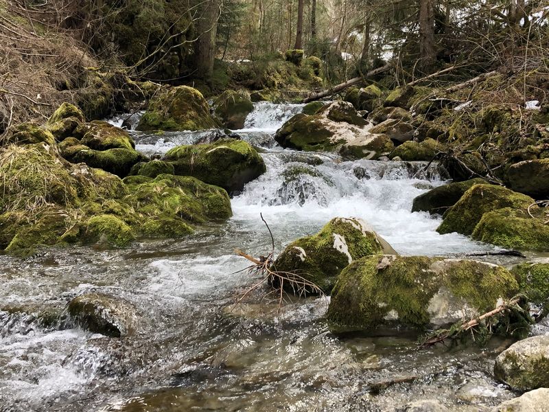 Sur le chemin de l'Oratoire de la Gouille