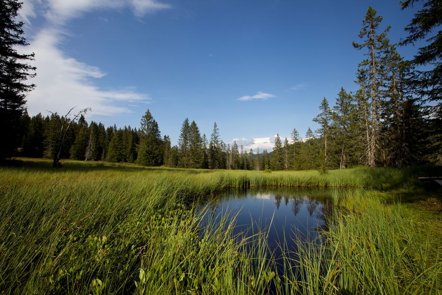 tourbieres-les-saisies