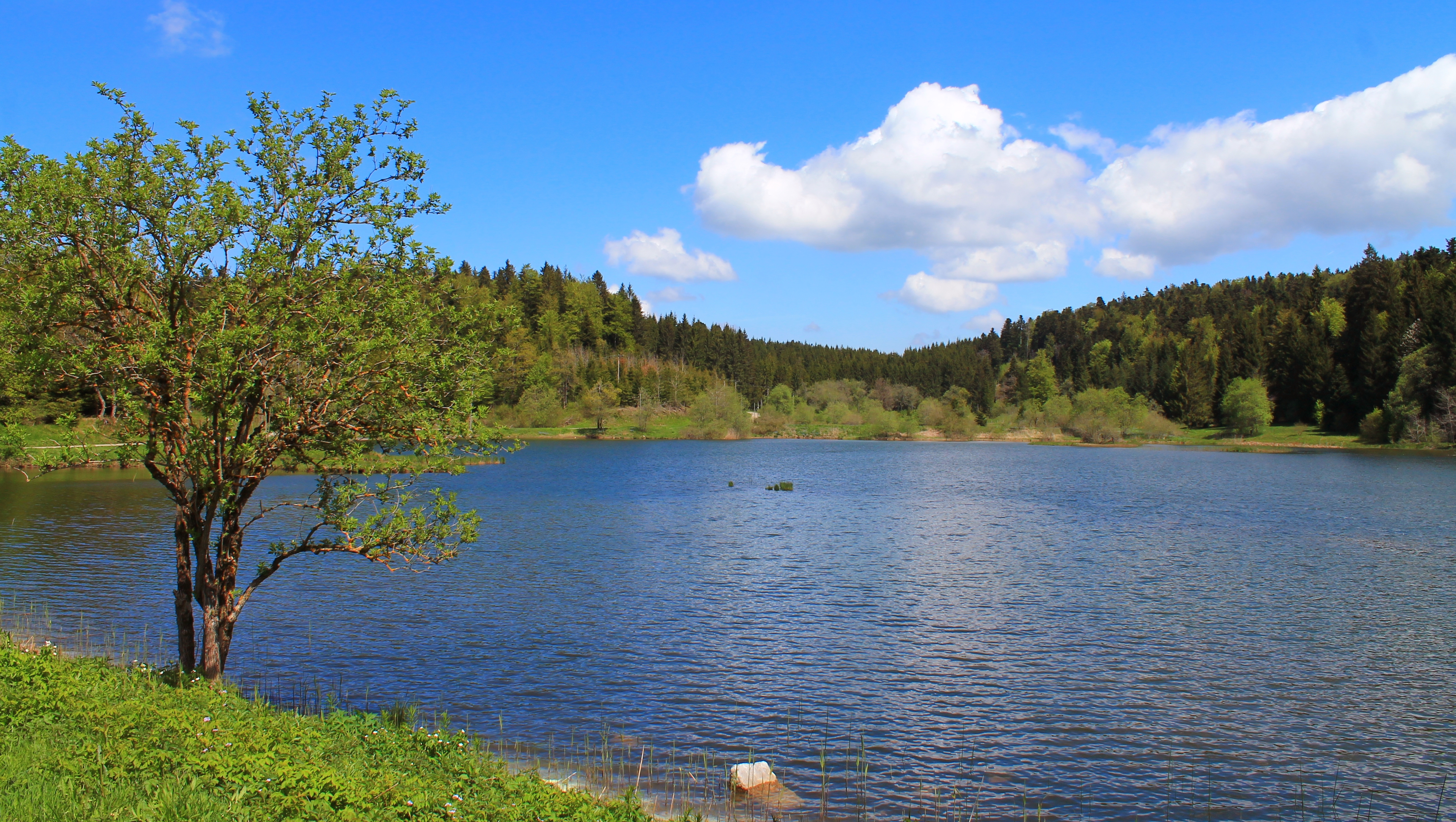 photosFeed-https://static.apidae-tourisme.com/filestore/objets-touristiques/images/141/53/21116301.jpg