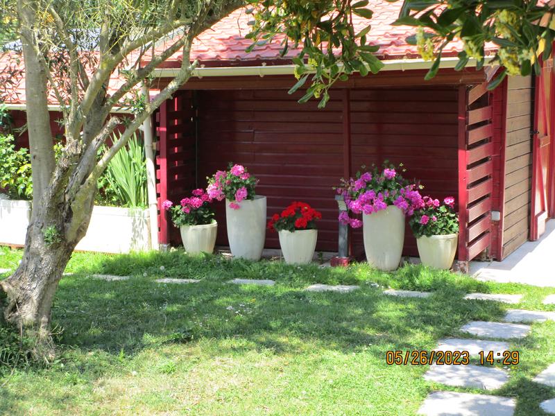 Grands pots de fleurs jardin