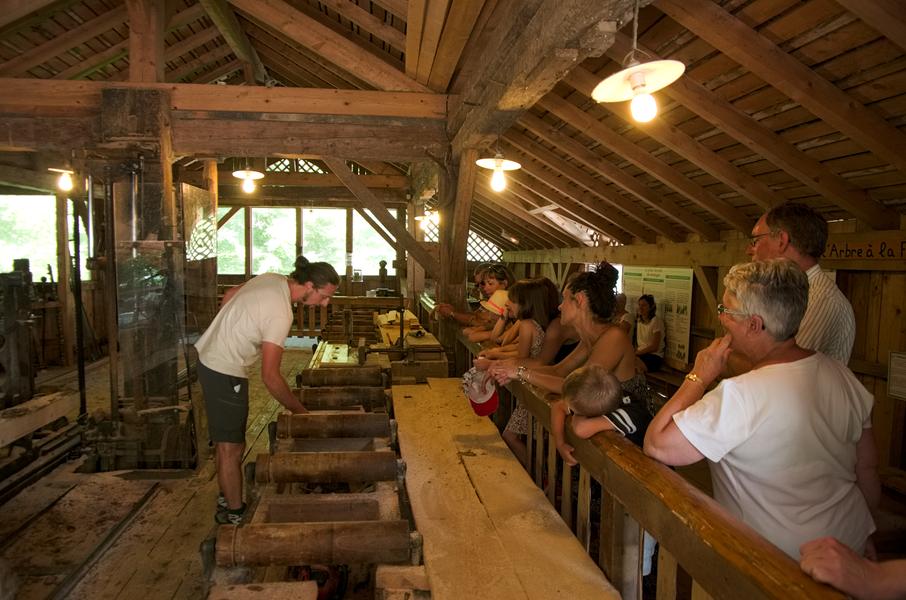Ecomusée du Bois et de la Forêt de Montremont