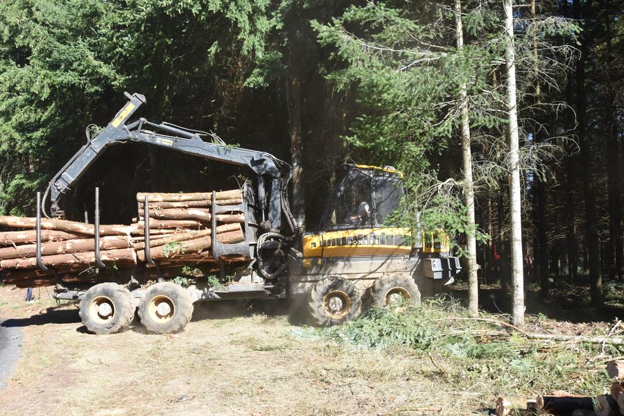 Challenge d\'Agilité Forestière