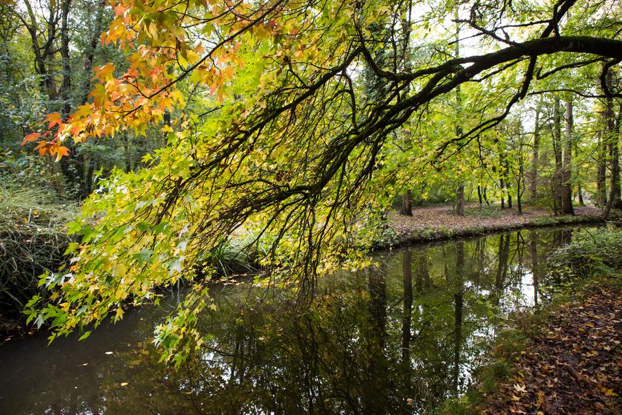 Ruisseau de Gravelle dans le bois de Vincennes 