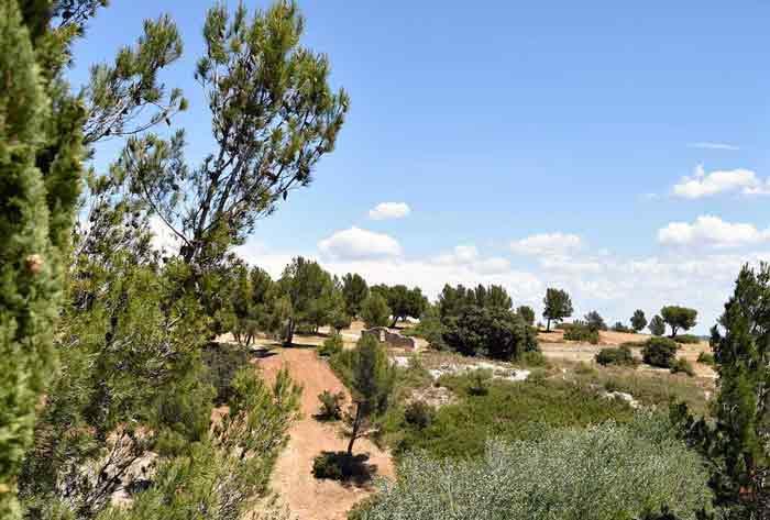 Mazet du Prunier (402) - Les Garrigues de la Vallée des Baux, Paradou - photo 14