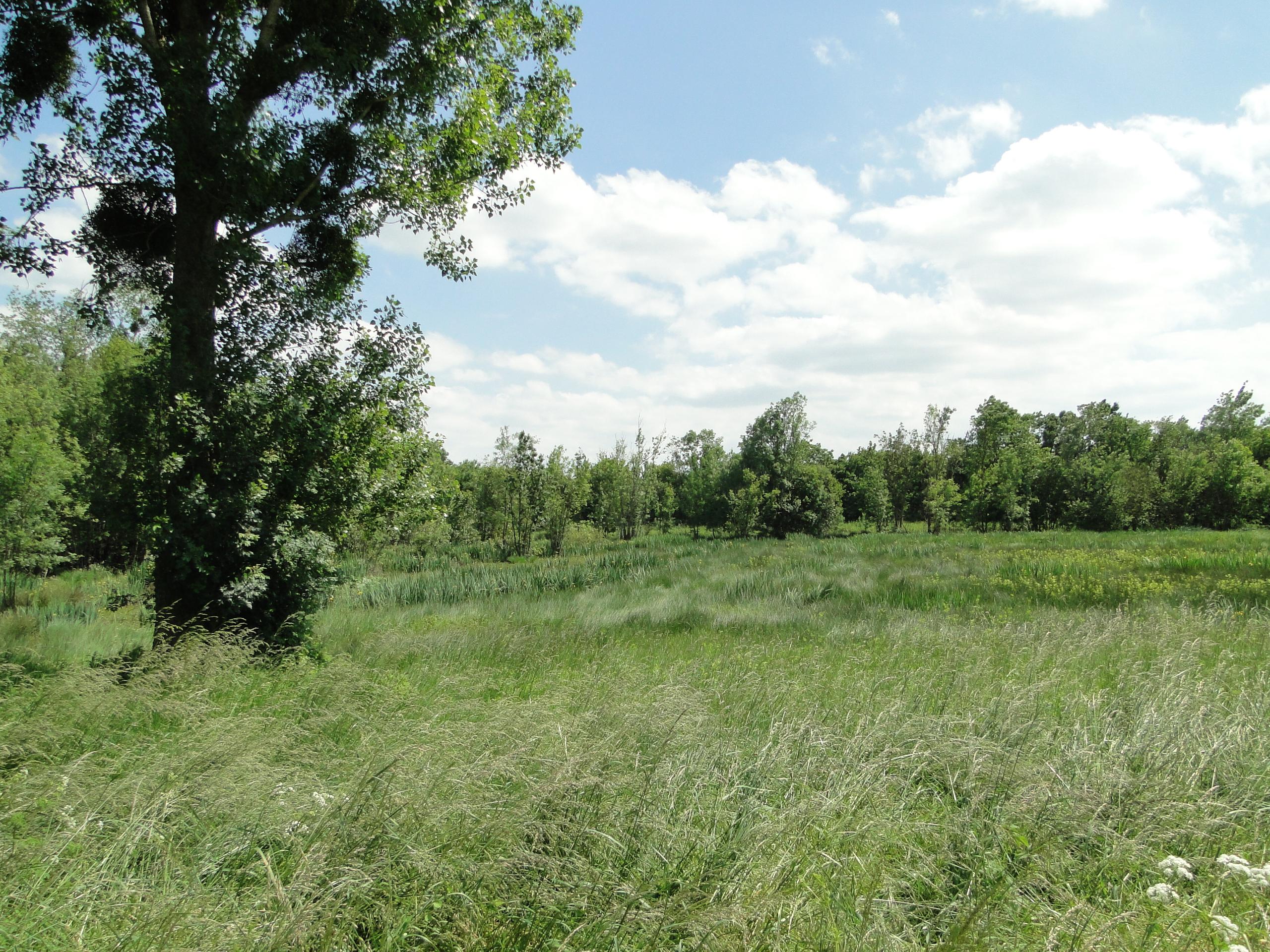 Sortie nature : Autour de la Citerne