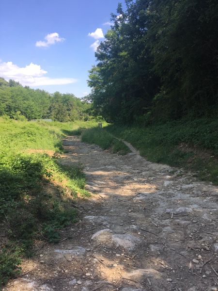 Sentier arboretum Beynost