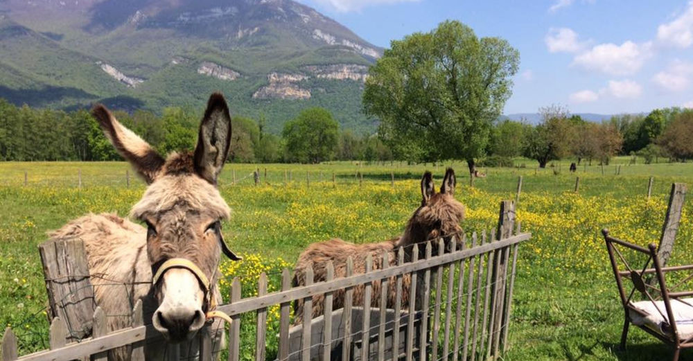 Restaurant La Ferme du Marais