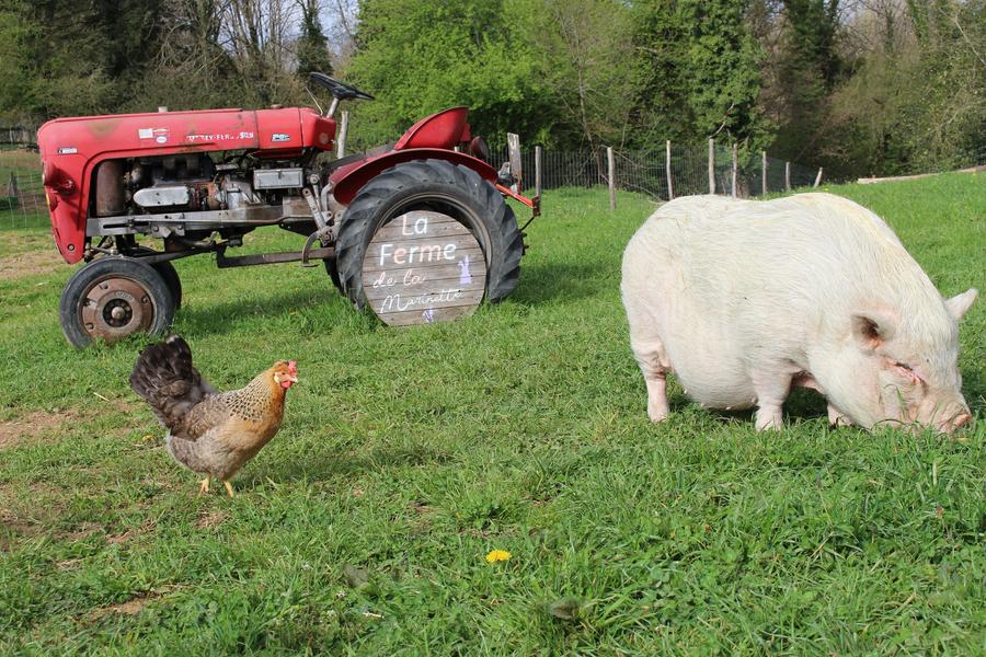 Parcours pieds nus