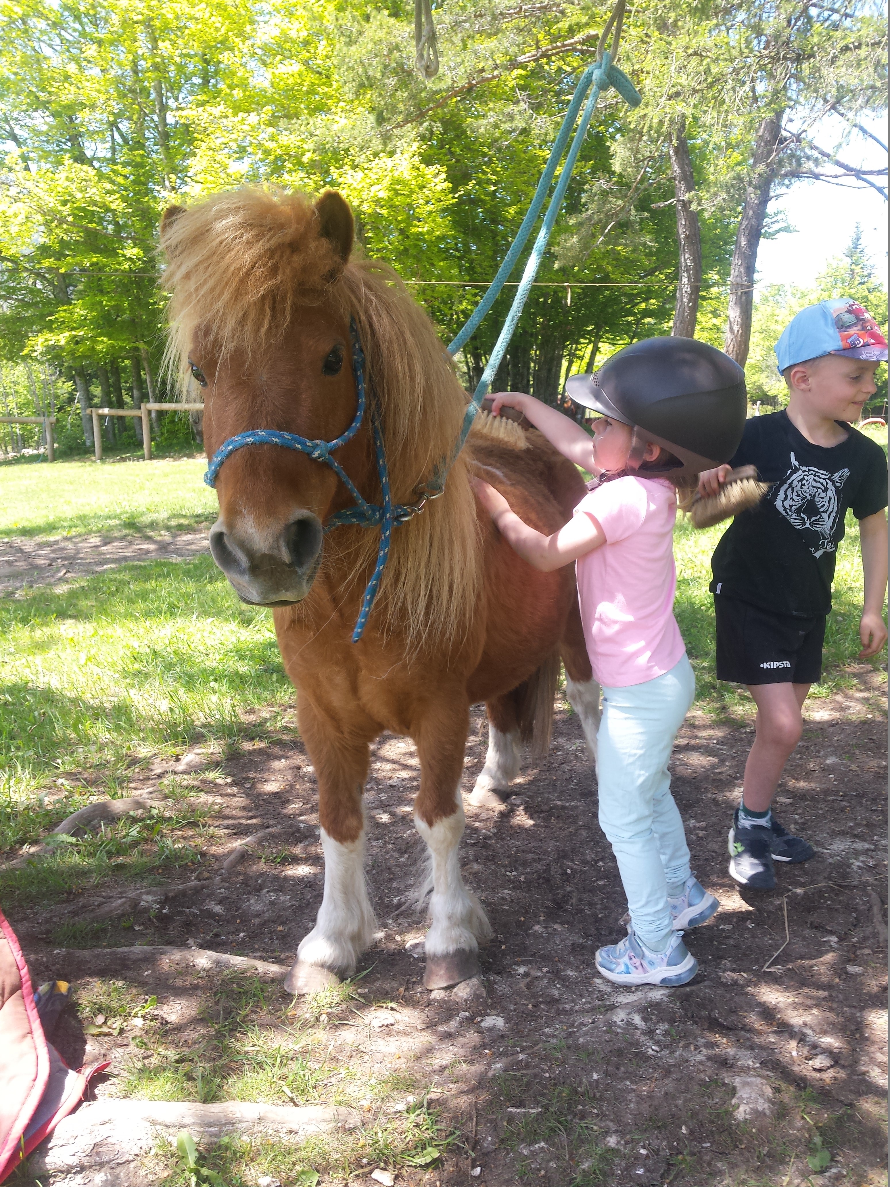 Babyponey : c'est pour les tout petits une rencontre entre poney et petit bouchon