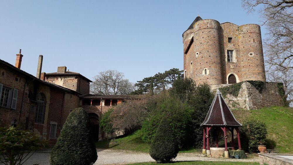 Visite du château du Montellier