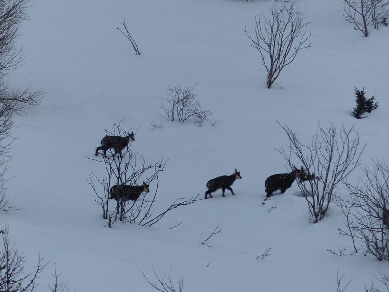 Raquettes à neige : Nuitée en refuge gardé dans le Parc national de la Vanoise_Aussois
