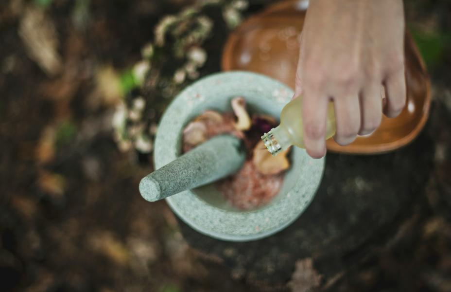 Atelier - Plantes magiques