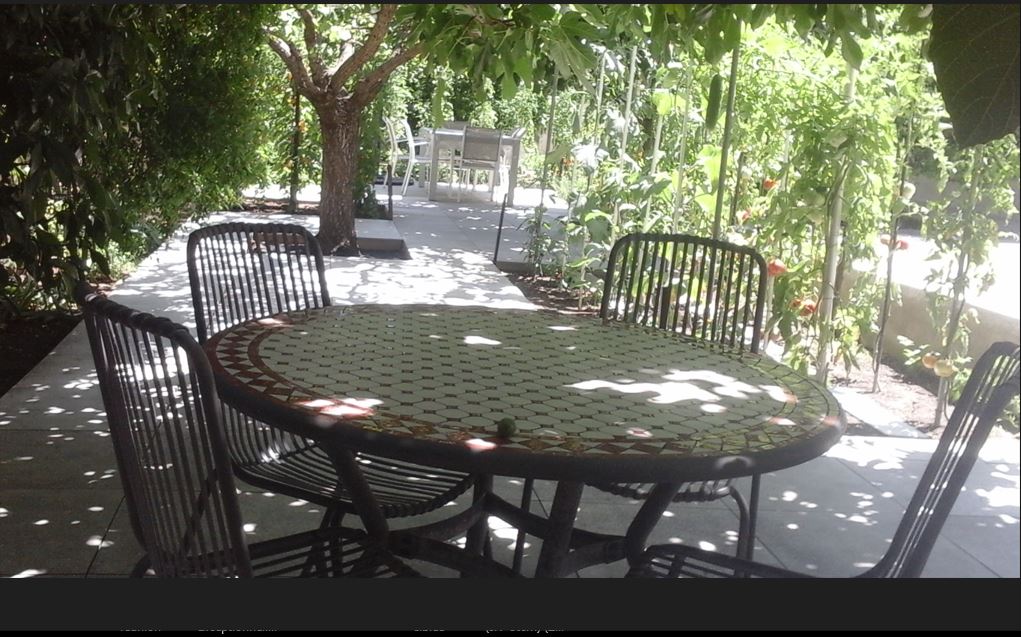 Les Figuiers - photo 2